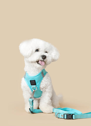 SoHo Dog Walking Set - Fifth Avenue Blue