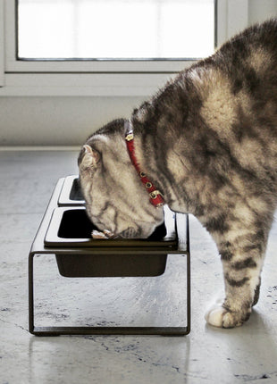 Pet Food Bowl - Tall - Steel + Ceramic