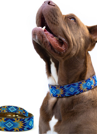 Maldives Sambboho dog collar (Glam Collection)