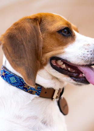 Maldives Sambboho dog collar (Glam Collection)