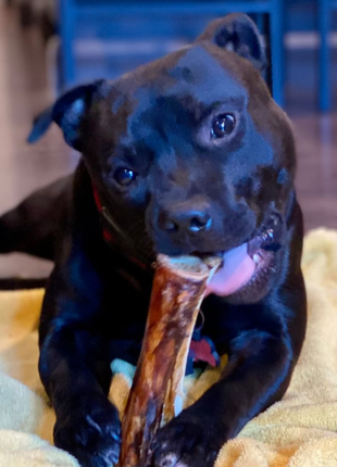 5-6 Inch Marrow Bone