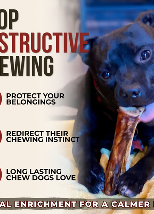 5-6 Inch Marrow Bone