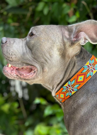 Maui Sambboho dog collar (made to order)