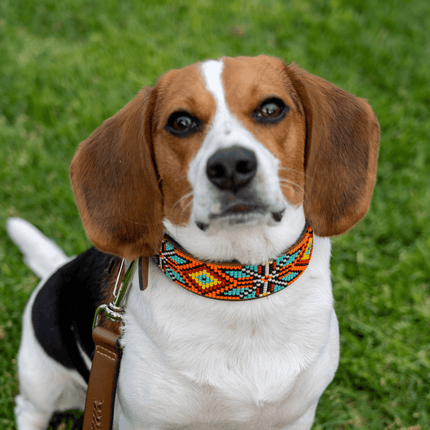 Maui Sambboho dog collar (made to order)