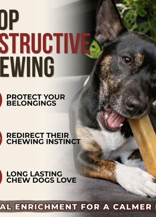 Himalayan Yak Chew (MEDIUM)