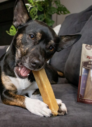 Himalayan Yak Chew (MEDIUM)