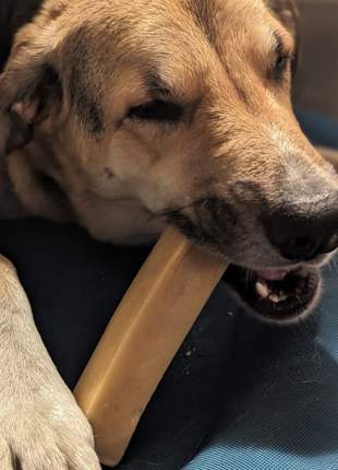 Himalayan Yak Chew (MEGA)