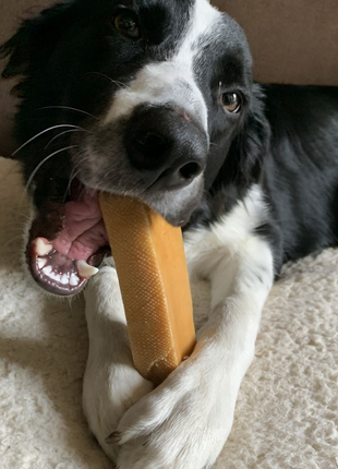 Himalayan Yak Chew (MEGA)