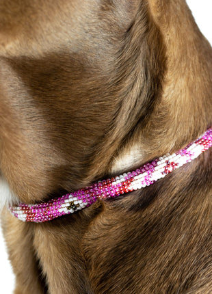 Melrose Sambboho dog collar (rolled)