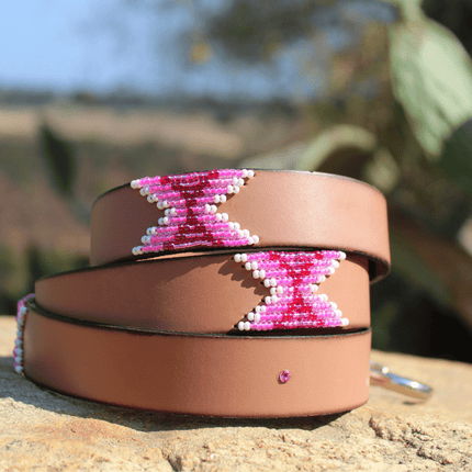 Matching leash/dog collar Melrose Sambboho Bundle
