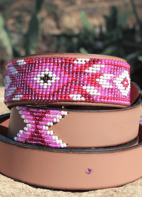 Matching leash/dog collar Melrose Sambboho Bundle