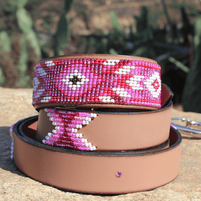 Matching leash/dog collar Melrose Sambboho Bundle