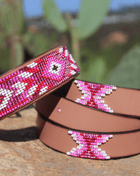 Matching leash/dog collar Melrose Sambboho Bundle