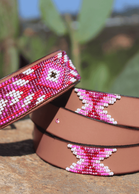 Matching leash/dog collar Melrose Sambboho Bundle