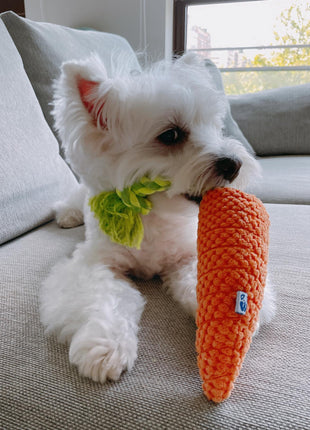 Carrot