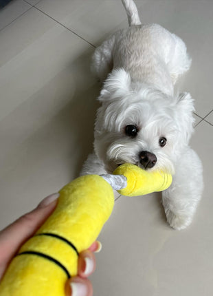 NUNCHUCKS TUG ROPE INTERACTIVE TOY