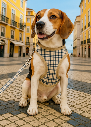 Parisian Pet 'Freedom Harness Khaki Plaid' for Dogs & Cats – Comfortable and Adjustable Dog Harness, Stylish Khaki Plaid Design