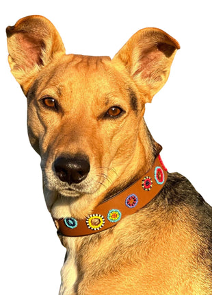 Miami Sambboho dog collar (made to order)
