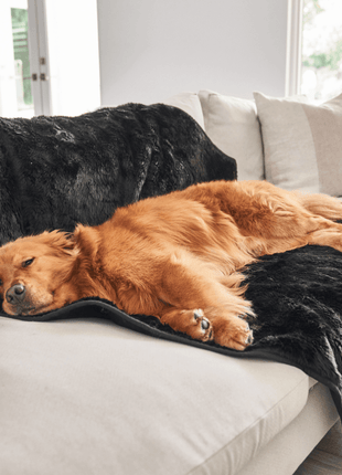 PupProtector™ Short Fur Waterproof Throw Blanket - Midnight Black