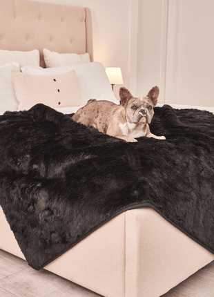 PupProtector™ Short Fur Waterproof Throw Blanket - Midnight Black