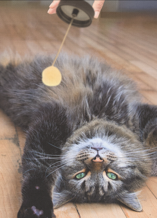 Fluff Potion Number 9 | Botanical No-Comb Mat Remover for Cats