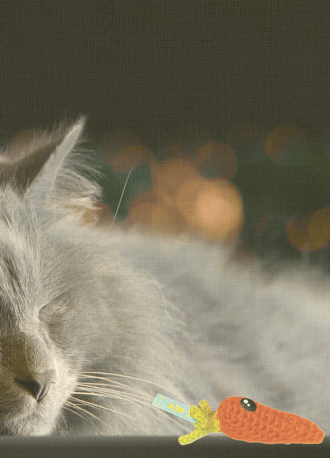 Handmade Catnip Toy | Lulu the Carrot Chunkle Puff Infused with Miracle Nip Botanicals