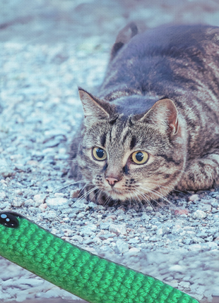 Handmade Catnip Toy | Leaf Stick Chunkle Puff Infused with Miracle Nip Botanicals