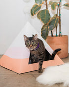 'Wavey' Cardboard Cat Pyramid