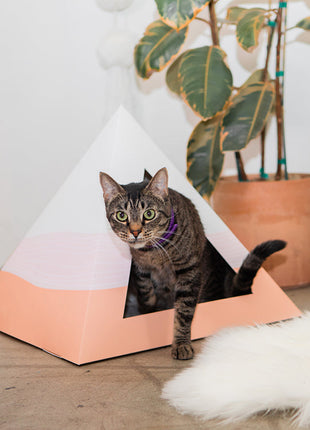 'Wavey' Cardboard Cat Pyramid