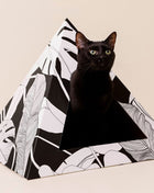 'Dark Paradise' Cardboard Cat Pyramid
