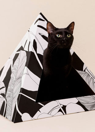 'Dark Paradise' Cardboard Cat Pyramid