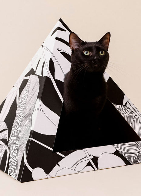 'Dark Paradise' Cardboard Cat Pyramid