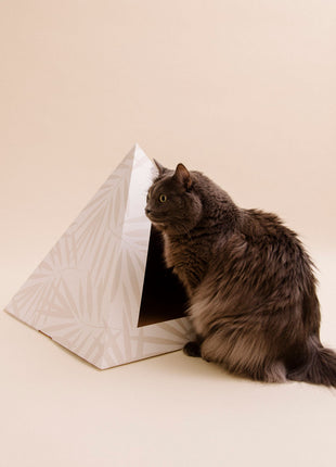 'Neutral Palm' Cardboard Cat Pyramid