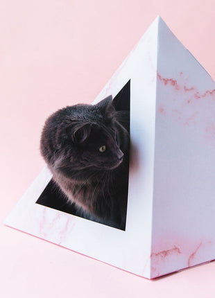'Rose Quartz' Cardboard Cat Pyramid