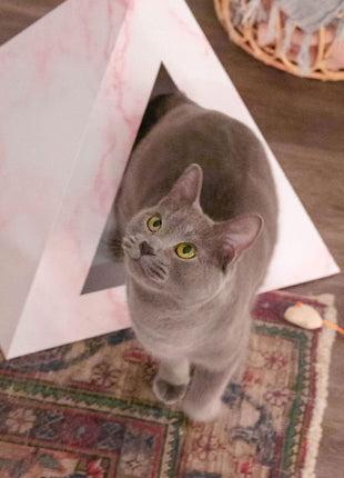 'Rose Quartz' Cardboard Cat Pyramid