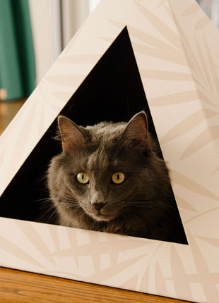 'Neutral Palm' Cardboard Cat Pyramid