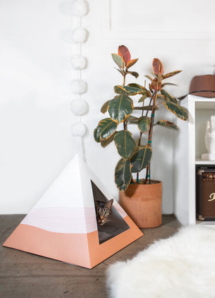'Wavey' Cardboard Cat Pyramid