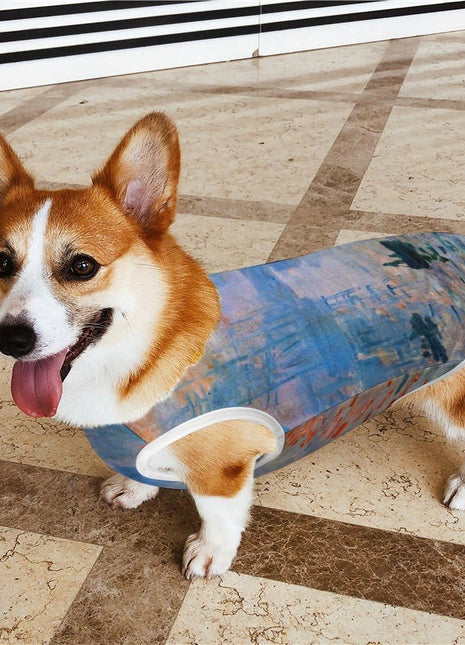 Monet Impression, Sunrise Pet Vest - Pup List