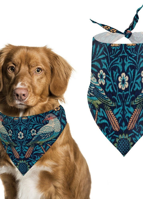 Morris Bird Pet Scarf