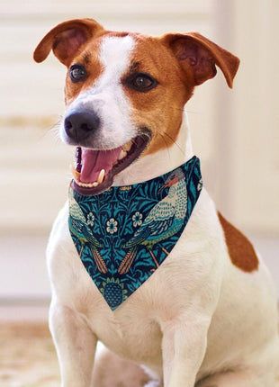 Morris Bird Pet Scarf