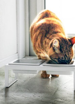 Pet Food Bowl - Tall - Steel + Ceramic