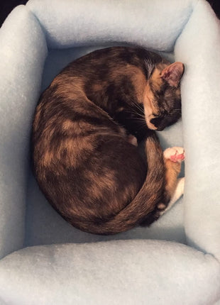 Mysterious Kitty Kuddler Nesting Cat Bed