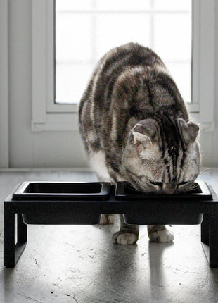 Pet Food Bowl - Tall - Steel + Ceramic