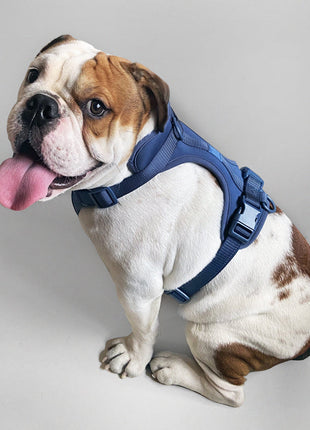 Harness - Pup List