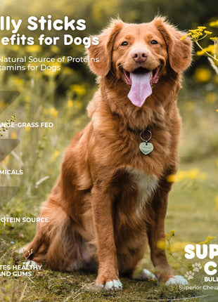 6" Mega Monster Bully Sticks | Premium Quality - Pup List