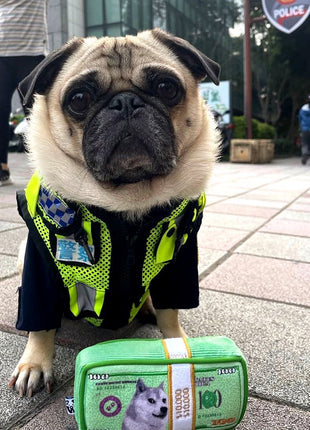 CASH IS KING PLUSH DOG TOY