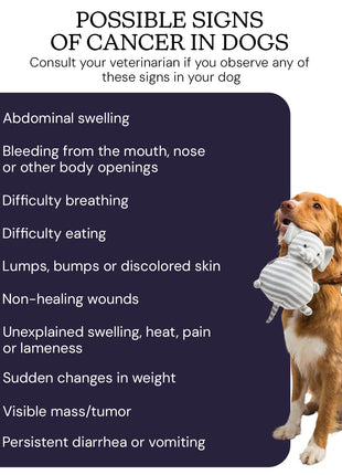 Oncotect Essential At-Home Dog Cancer Screening Test Kit