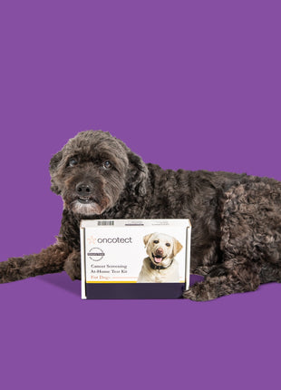 Oncotect Essential At-Home Dog Cancer Screening Test Kit
