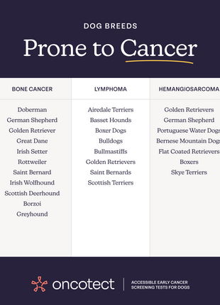Oncotect Essential At-Home Dog Cancer Screening Test Kit