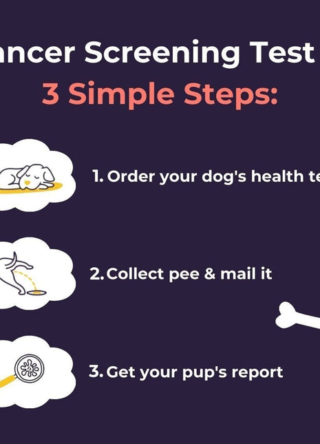 Oncotect Essential At-Home Dog Cancer Screening Test Kit